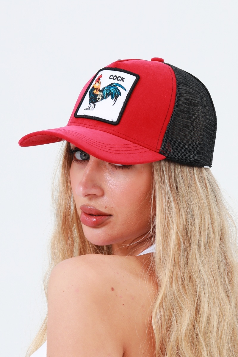 Trendy animal embroidery baseball cap     hiphop style 2