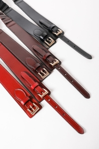 Leather Double Buckle Waistband Belt